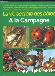 A LA CAMPAGNE