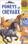 Poneys et chevaux