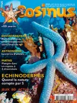 Oursins, étoiles de mer, ophiures... Quand la nature compte par 5