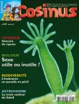 Objets mystère