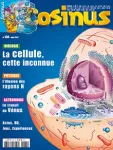 La mer à Paris : il y a 45 millions d'années