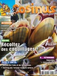 Les "coquillages" de l'estran