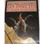 LES INSECTES ET AUTRES INVERTEBRES