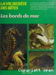 LES BORDS DE MER La vie secrète des mers