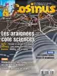 Jouons avec... les araignées