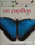 UN PAPILLON