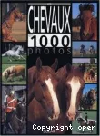 Les chevaux en 1000 photos