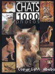 Les chats en 1000 photos