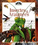 Les insectes et les araignées