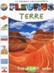 Terre